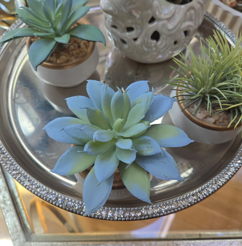 Unbranded Blue-Green Faux Succulent Accent